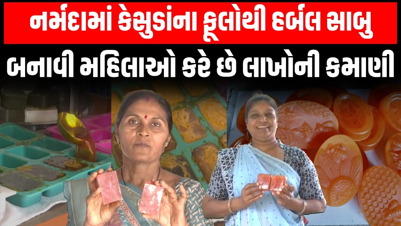 Narmada જિલ્લામાં કેસુડાના ફૂલોથી હર્બલ સાબુ બનાવી મહિલાઓ કરે છે લાખોની કમાણી | Newz Room Gujarat