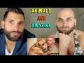 Try Not To Cry: ANIMAL REUNIONS WITH OWNERS [REACTION]