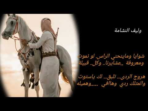 ستوت اليف شواية ومحد هزنا وليف النشامة