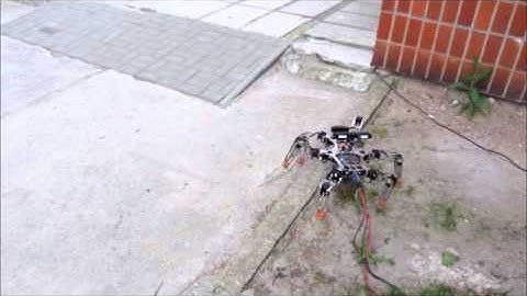 Outdoor experiment: Adaptive Motion Planning for a Walking  Robot