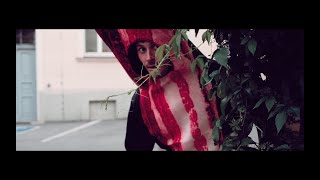 Vollblutvegetarier - BlechReizPop (Official Music Video)