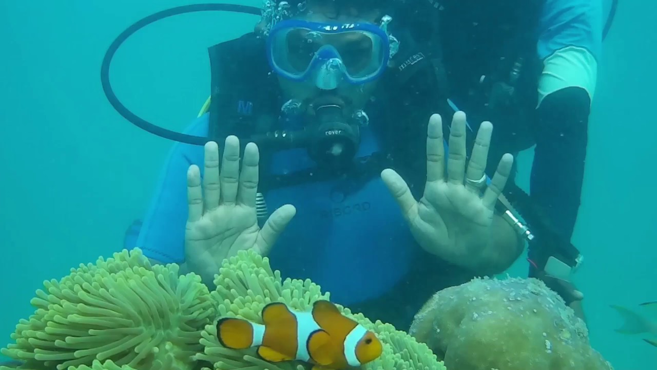 Scuba diving in Andaman sea YouTube