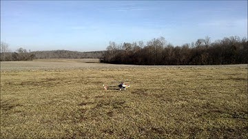 Trex 550 autorotation practice