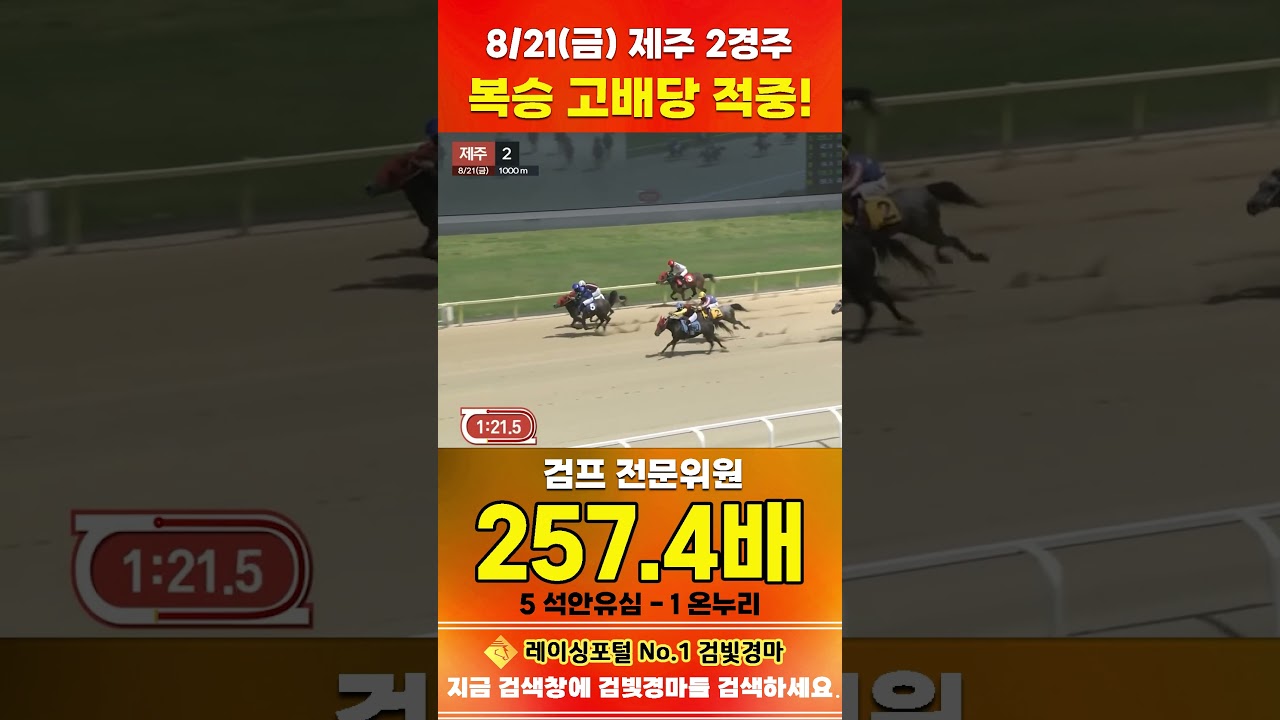 [제주 경마] 8월 21일 금요 2경주 검프 전문위원 복승 고배당 적중 #한국마사회 #horse #경마 #automobile #하이라이트 #riding #게임 #korean