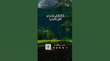القارئ :ماجد الحازمي #قرآن #تلاوات