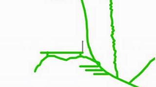 Line Rider™ - From Beginner To Expert The Scenery Totural