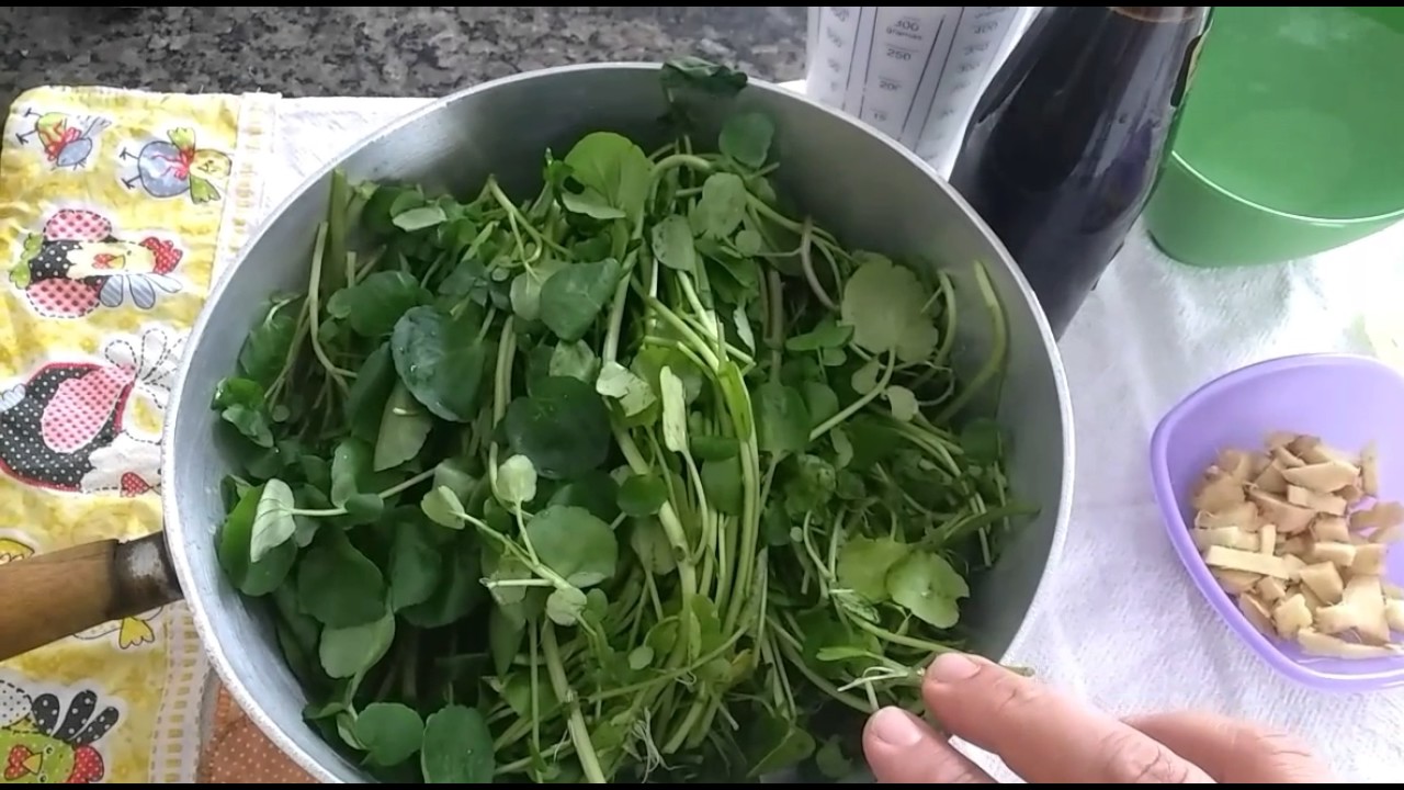 Garrafa pequena de xarope para tosse caseiro feito de topos de abeto em um  toco de árvore com brotos de pinheiro jovens