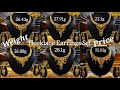 Latest Gold Necklace Earrings Set with weight and price