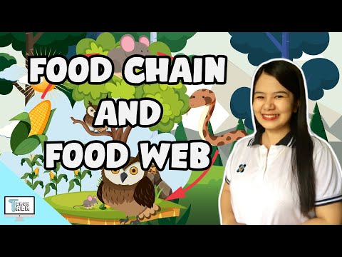 Video: Ano ang food web diagram?