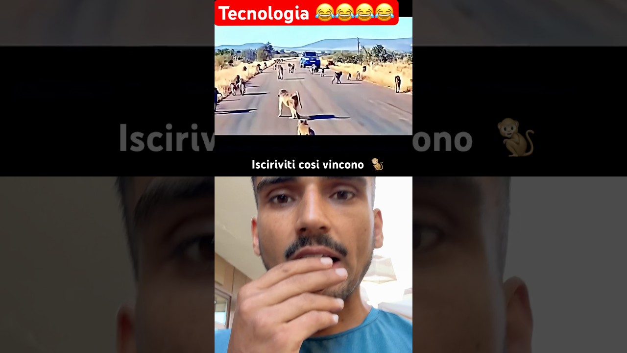 Scimmie 🐒🐒 hanno fatto scappare leone 🦁 #ironia #risate #viraleshorts #fahadafzal #scimmia