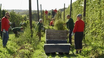 Gulpener bedrijfsfilm