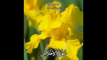 سورة الإخلاص | الشيخ فارس عباد حالات واتساب تلاوه خاشعه