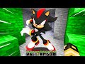 HO INCONTRATO SHADOW SONIC NEL MIO MONDO DI MINECRAFT!!