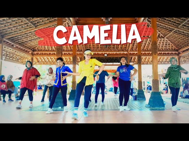 DJ Dangdut Camelia | TikTok Viral | Senam Kreasi Terbaru By Anna Farida class=