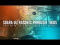 Download Lagu SUARA ULTRASONIC PENGUSIR TIKUS... MP3 Gratis