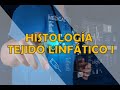 TEJIDO LINFÁTICO I