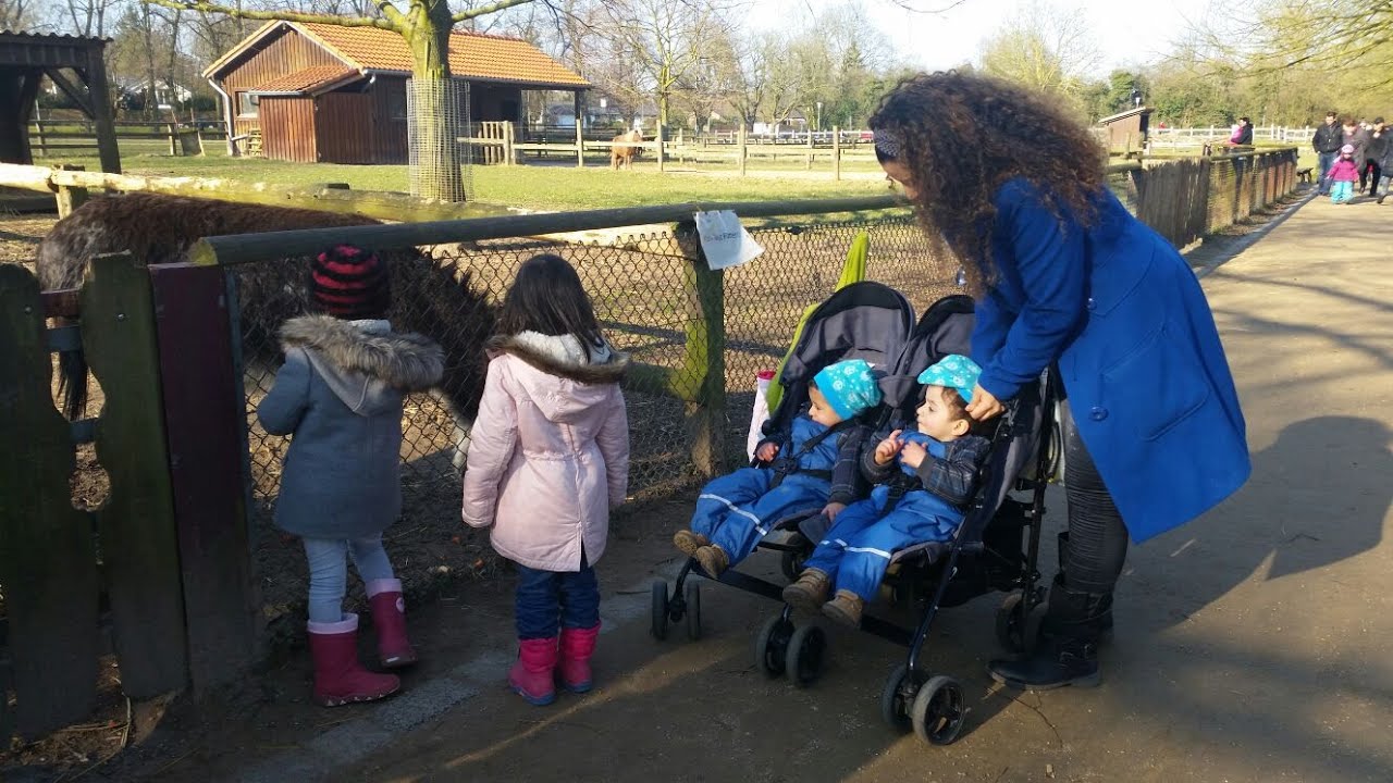 Family fma vlog windel mit schei... im gesicht, kinderbauernhof ...