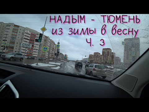 Видео: Тюмень хотод хаашаа явах вэ