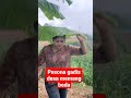 Pesona Gadis Desa 