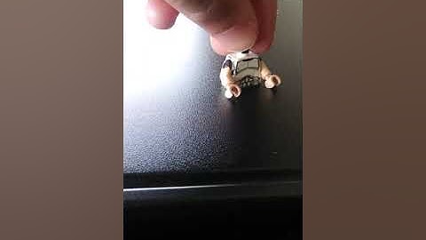 custom old captain rex without using any pieces from him