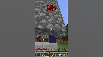 절대 음원을 누르지 마세요💀