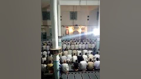 القارئ شعيب حمدي وتلاوة خيالية تقشعر منها الأبدان