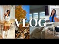 Vlog 103 new spring cleaning reevaluating everything  girls night out cooking new recipes  more