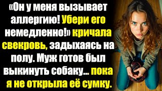 видео: «Выбирай — я или этот пёс!» — свекровь устроила спектакль с «удушьем». Но я нашла в её сумке правду. картинка: «Выбирай — я или этот пёс!» — свекровь устроила спектакль с «удушьем». Но я нашла в её сумке правду.
