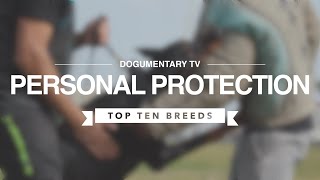 TOP TEN PERSONAL PROTECTION DOGS
