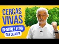 CERCAS VIVAS -DENTRO E FORA DAS CIDADES