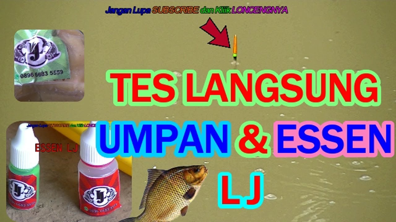 UMPAN IKAN MAS LJ TES LANGSUNG DI KOLAM PEMANCINGAN CILAME CICALENGKA