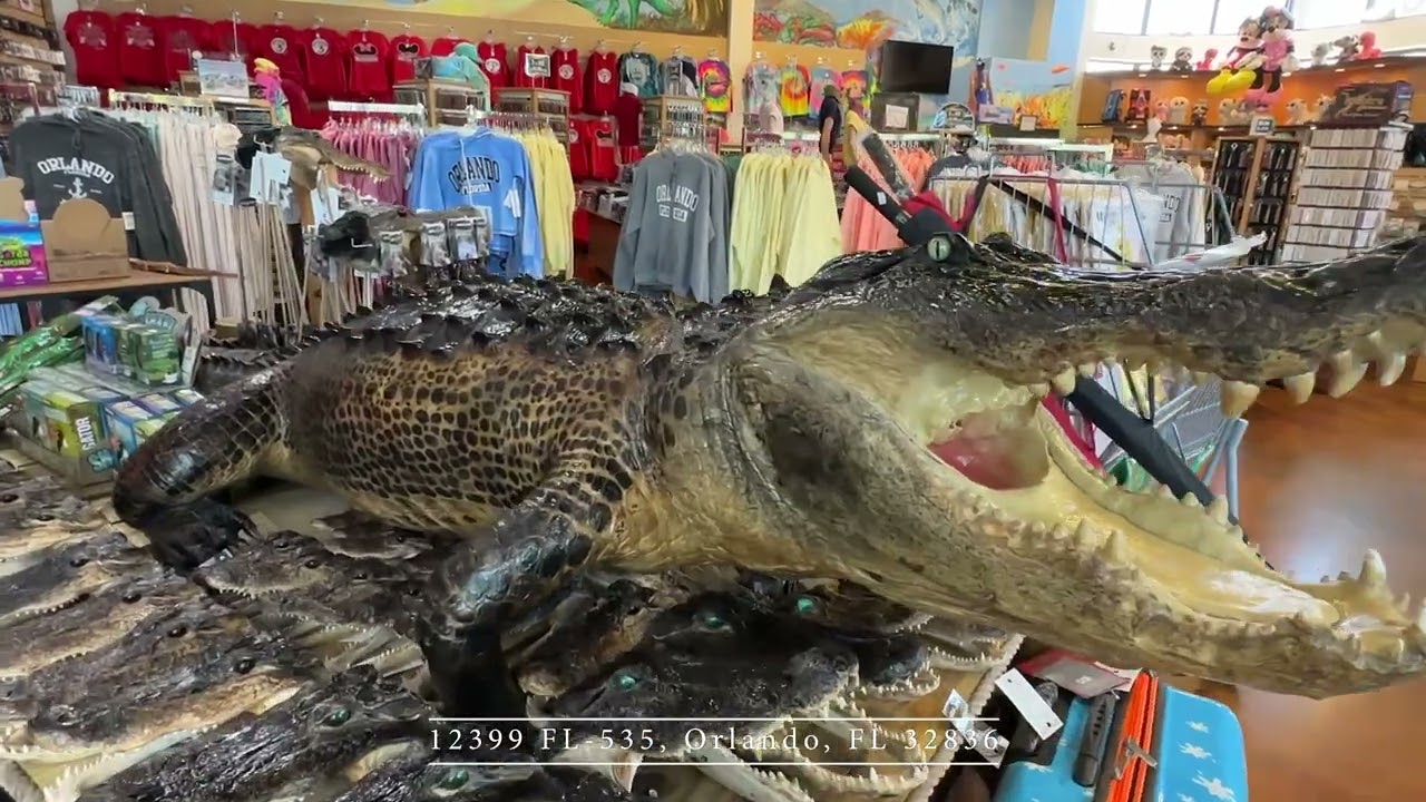 Treasure Island Gift Shop | 12399 FL-535, Orlando, FL 32836 | OPEN EVERYDAY