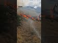 Reno homeowner sprays down yard as brush fires break out nearby