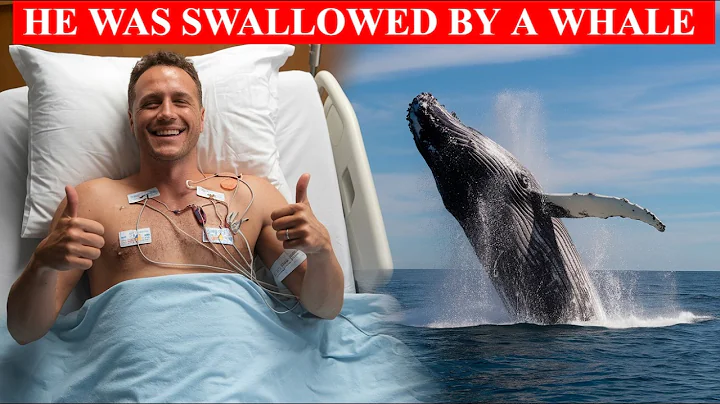 Man Swallowed by Humpback Whale Was 1 in a Trillion