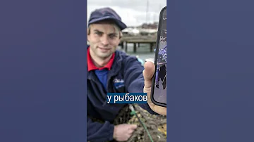 Рыбак поймал редчайшего СИНЕГО ЛОБСТЕРА