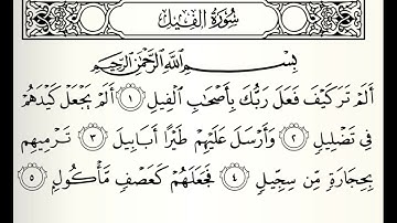 سورة الفيل القارئ صلاح الهاشم