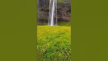 Thumbnail of Seljalandsfoss is beautiful in July! 💙❤️ #iceland #seljalandsfoss #waterfall