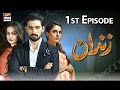 Zindaan   1st episode  7th march 2017  ary digital drama