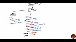 Acute Diarrhea for USMLE