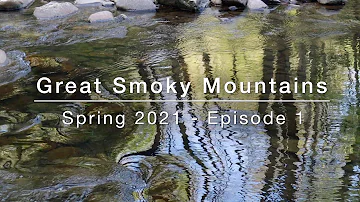 Photographing the Smokies - Large Format - Spring 2021 - Episode 1