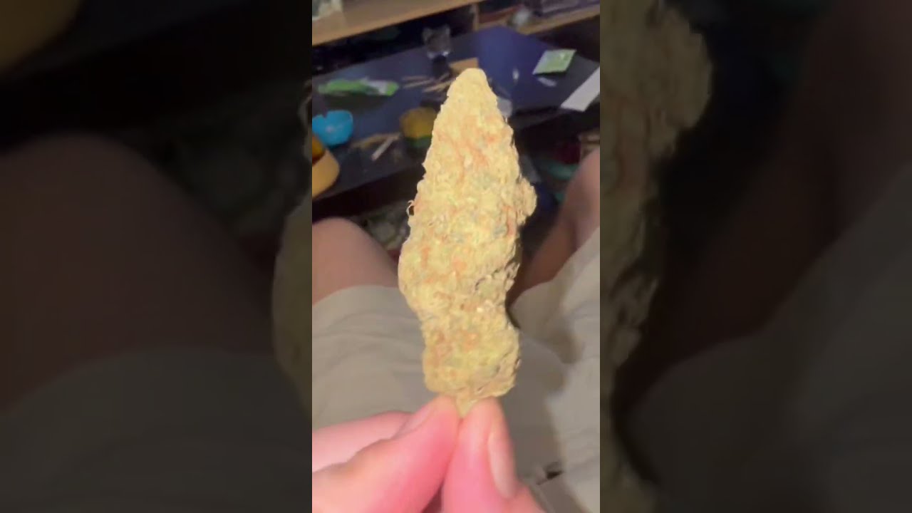Big Nug of CHEESE 🧀