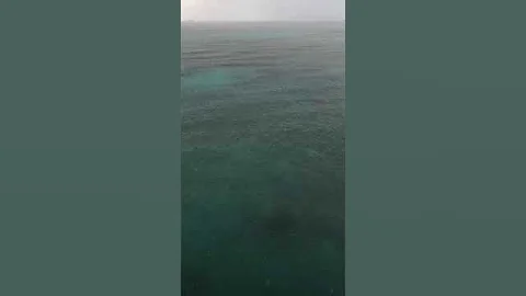 Ocean Rain Fall