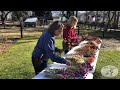How to make a mixed dried flower bouquet  1818 farms