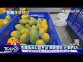 怕颱風來心血全沒 果農搶收「芒果界LV」｜TVBS新聞 @TVBSNEWS01