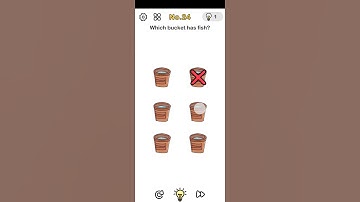 Brain Out Level No-24 answer | Which bucket has fish ? 🐟