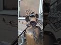 Вторую жизнь запчастей дали художники автомеханники #запчасти #скульптура #робот #художники #мастера