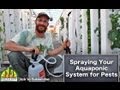 Spraying Your Aquaponic System for Pests