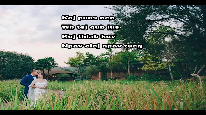Yuav Tos Txog Hnub Twg (Dr. Tom Movies Theme Song,...