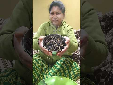 Miru Thintara Ivi YouTubeshorts Traditionalminivlog Viralshort Sandybabluofficial5267 