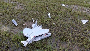 90mm Freewing F15 Crash!